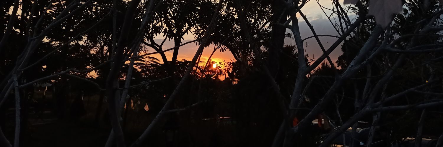 erinasamudro's profile banner image
