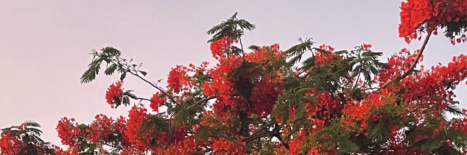 Auderri's profile banner image