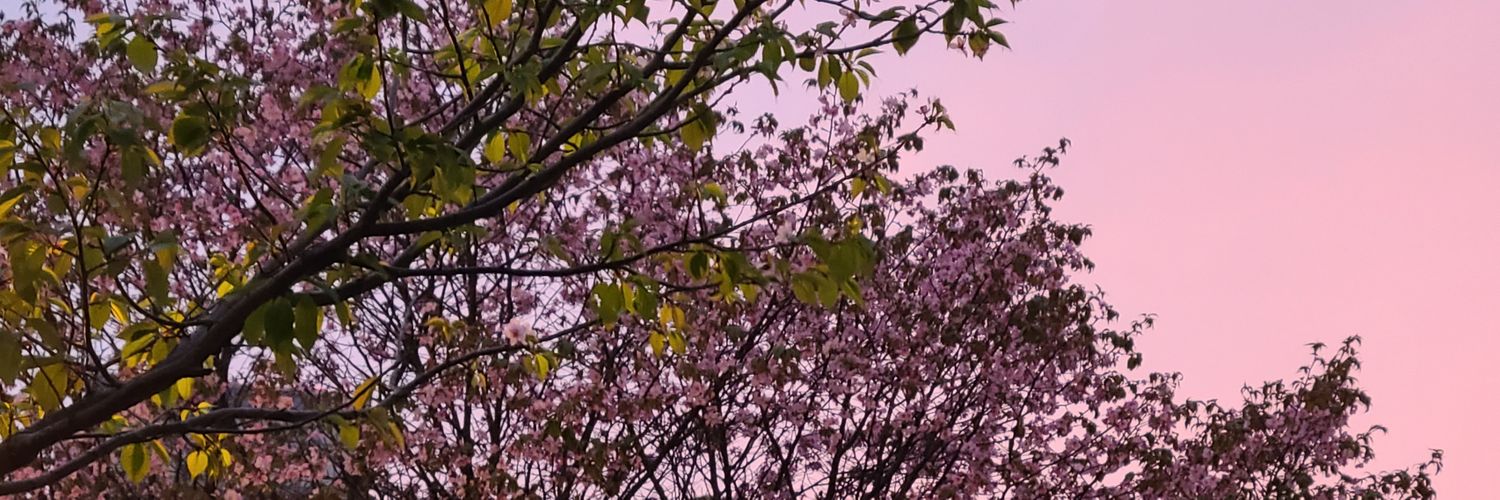 tsunagite's profile banner image