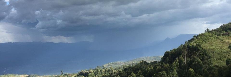 freddmelly's profile banner image