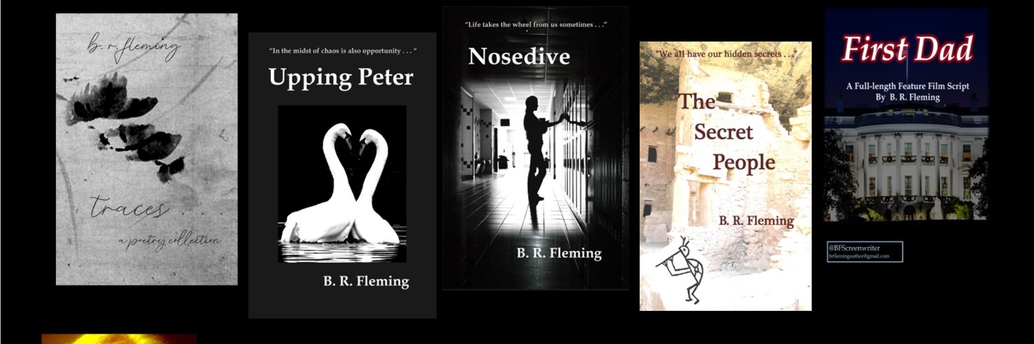 B R Fleming, Author banner