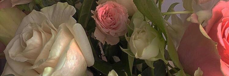 millleers_'s profile banner image