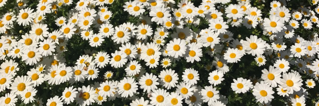 harup_131's profile banner image