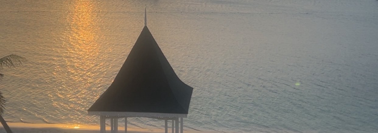 bella95xo's profile banner image