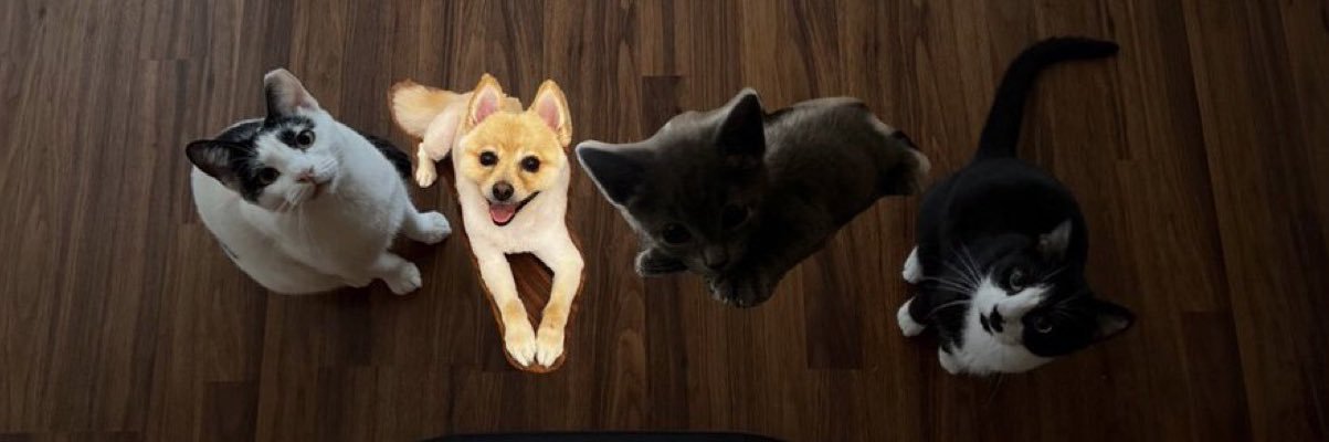 notadri's profile banner image