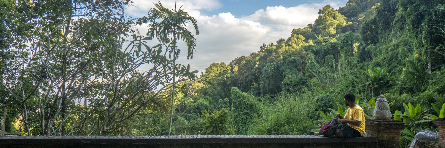 MoniBulla's profile banner image