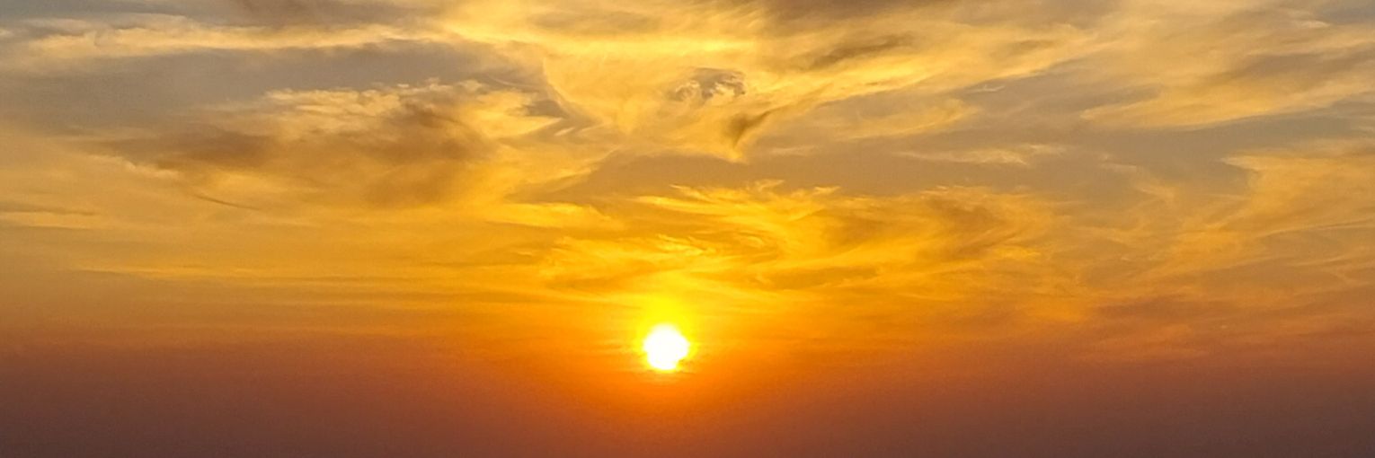 Carolin58078288's profile banner image
