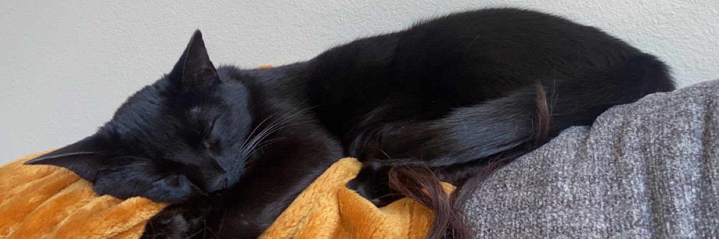 cafeauliza's profile banner image