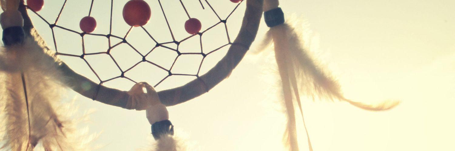 annputeri's profile banner image