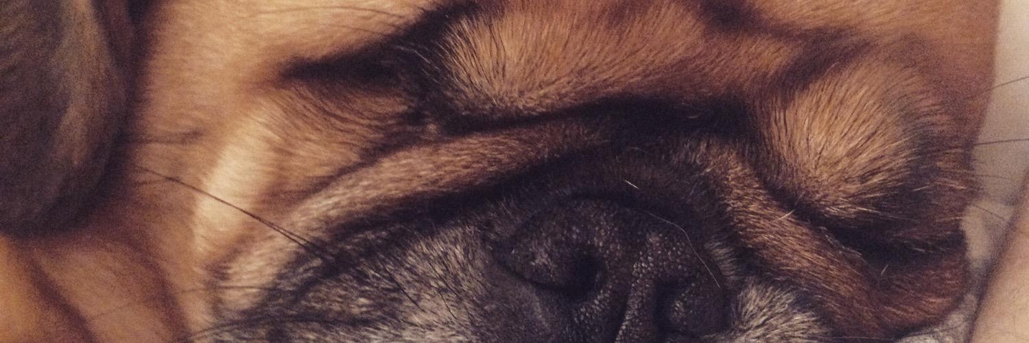 kimmleah's profile banner image