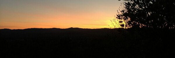 adam_g Profile Banner