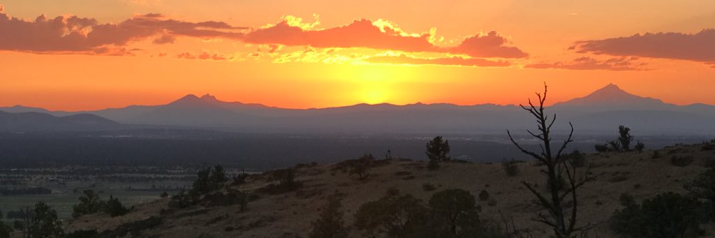 liliglover's profile banner image