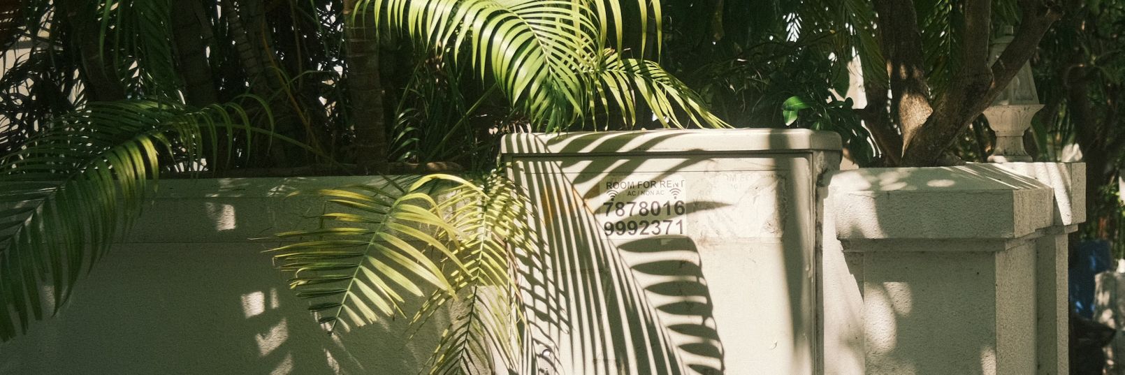 MahinFayaz's profile banner image