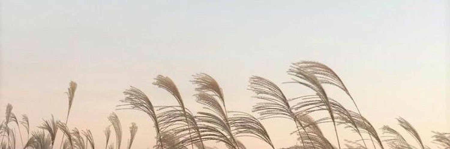 kpopdoran's profile banner image