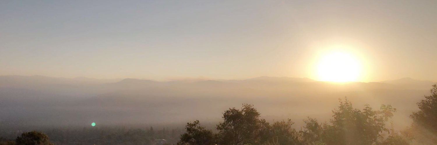 mesharighabban's profile banner image