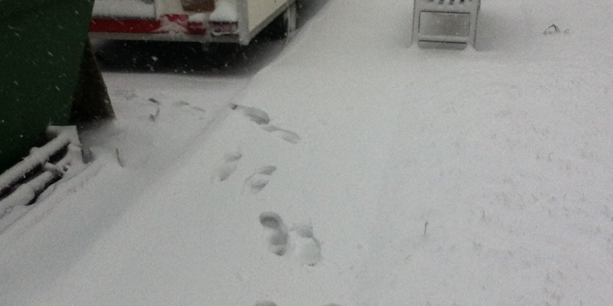 cymrorich's profile banner image
