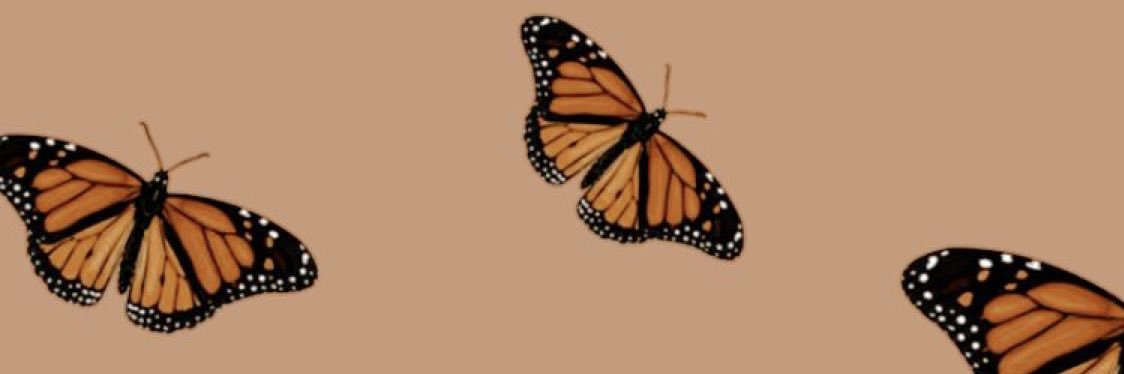 miriammlc's profile banner image