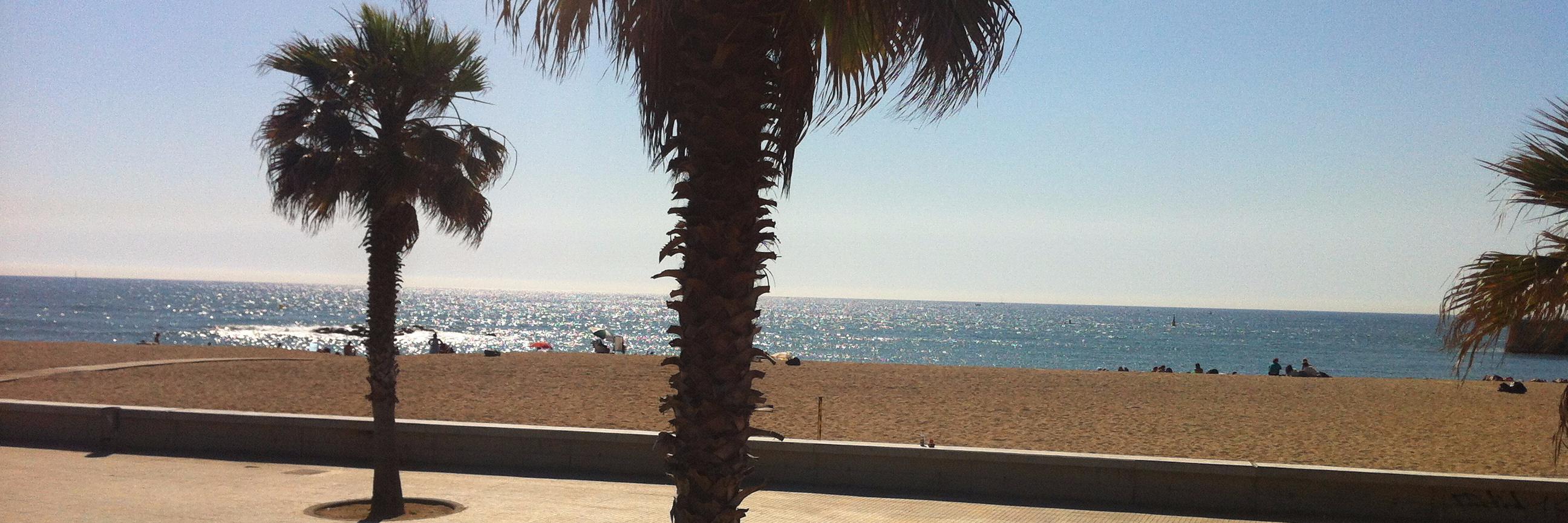 ATorresBcn's profile banner image