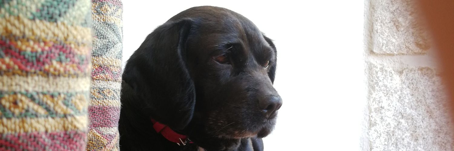 cuer_03's profile banner image
