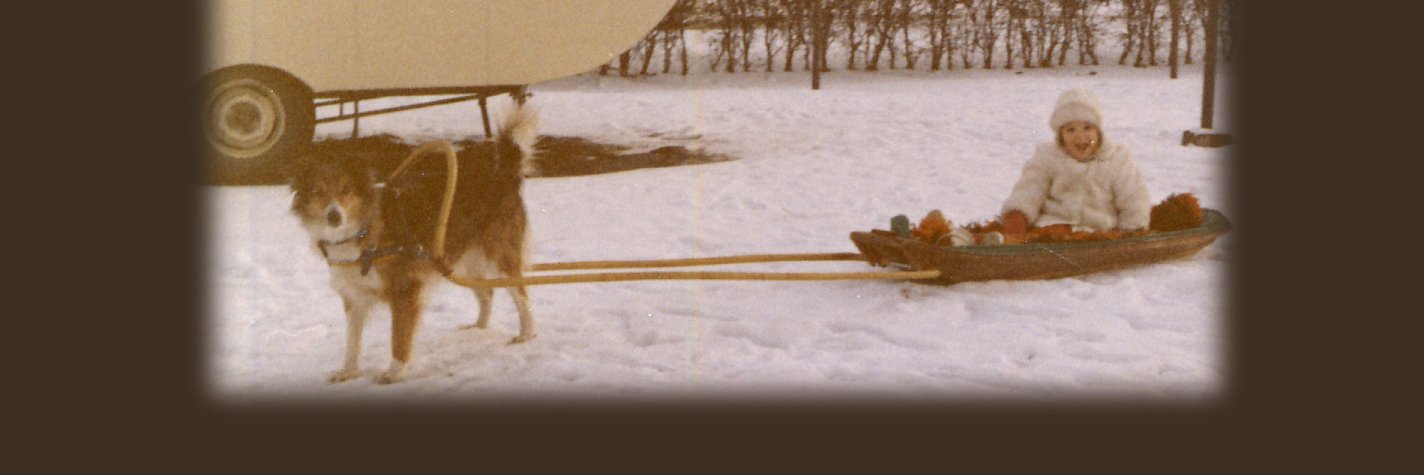 LenaMarklund's profile banner image