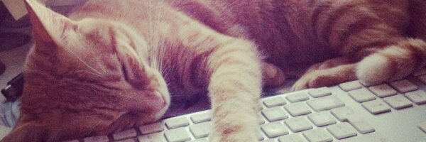 robertaKrasnig Profile Banner