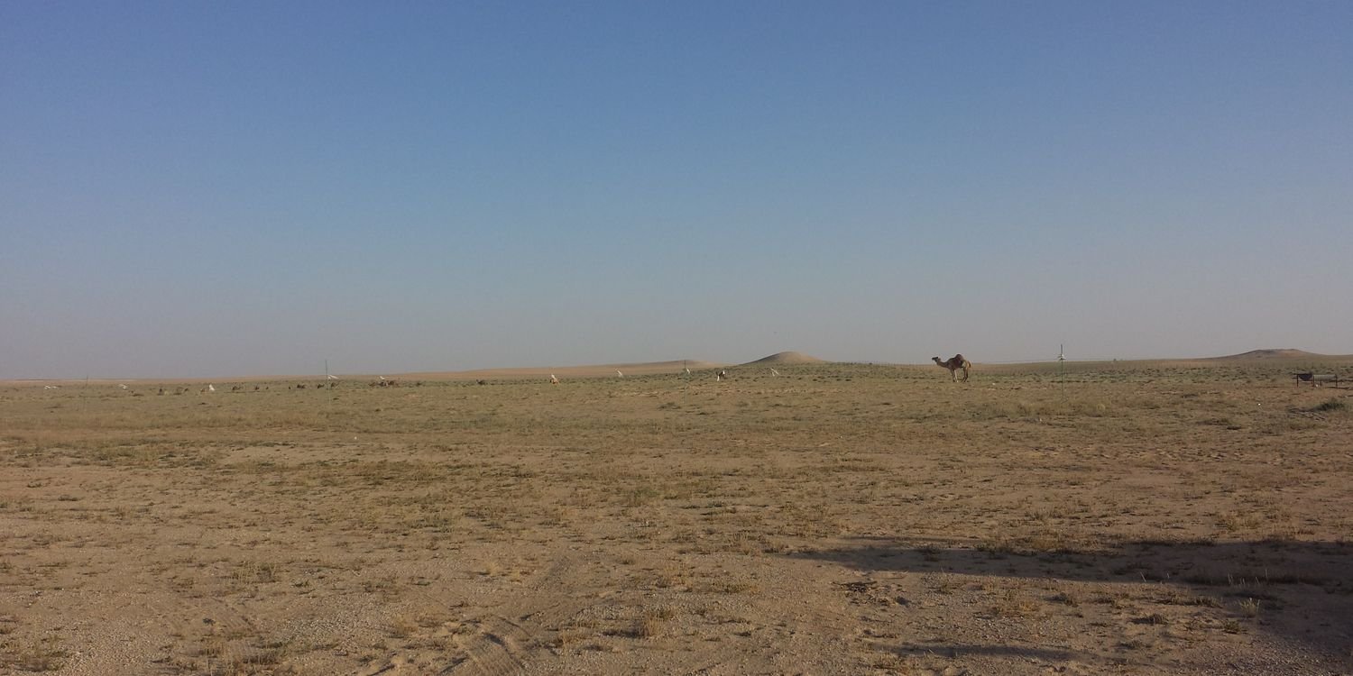 010_hamad's profile banner image
