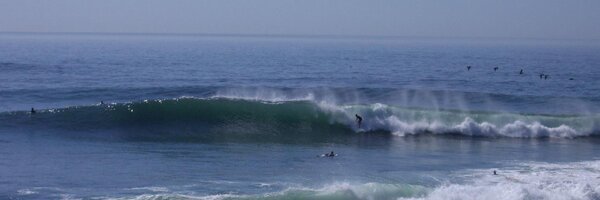 gurdotan Profile Banner