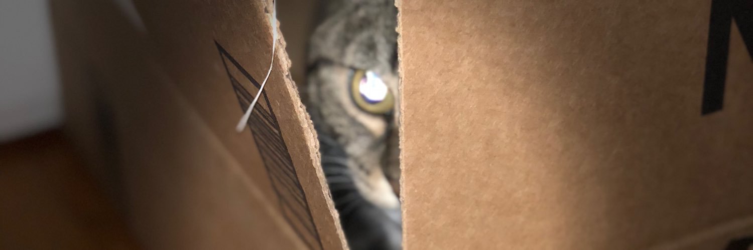 Phil 🇧🇿 banner