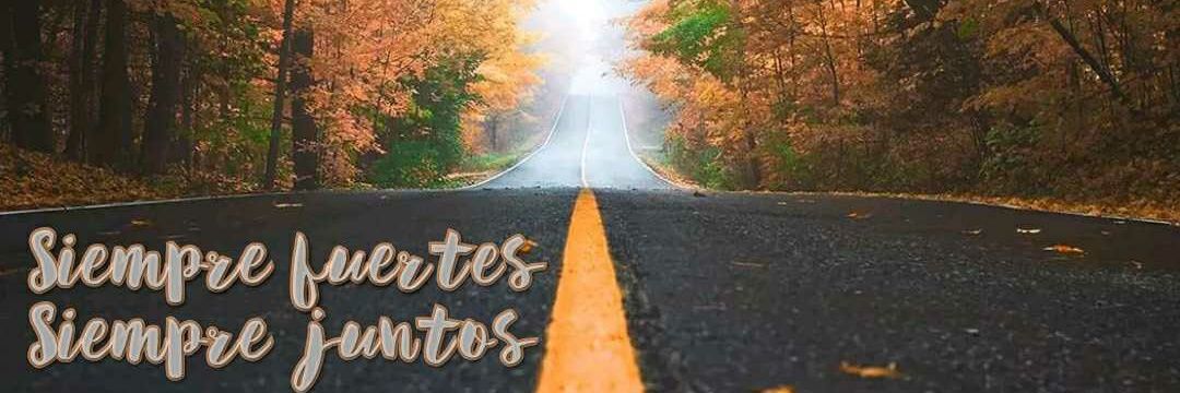 Laura Chulià Serra banner