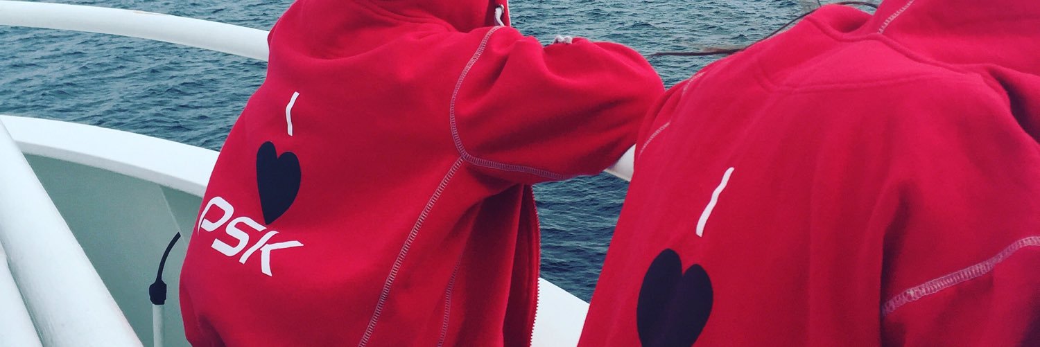 paradissk's profile banner image