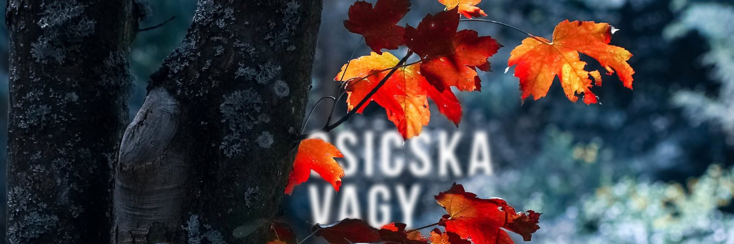 Nickypityu's profile banner image