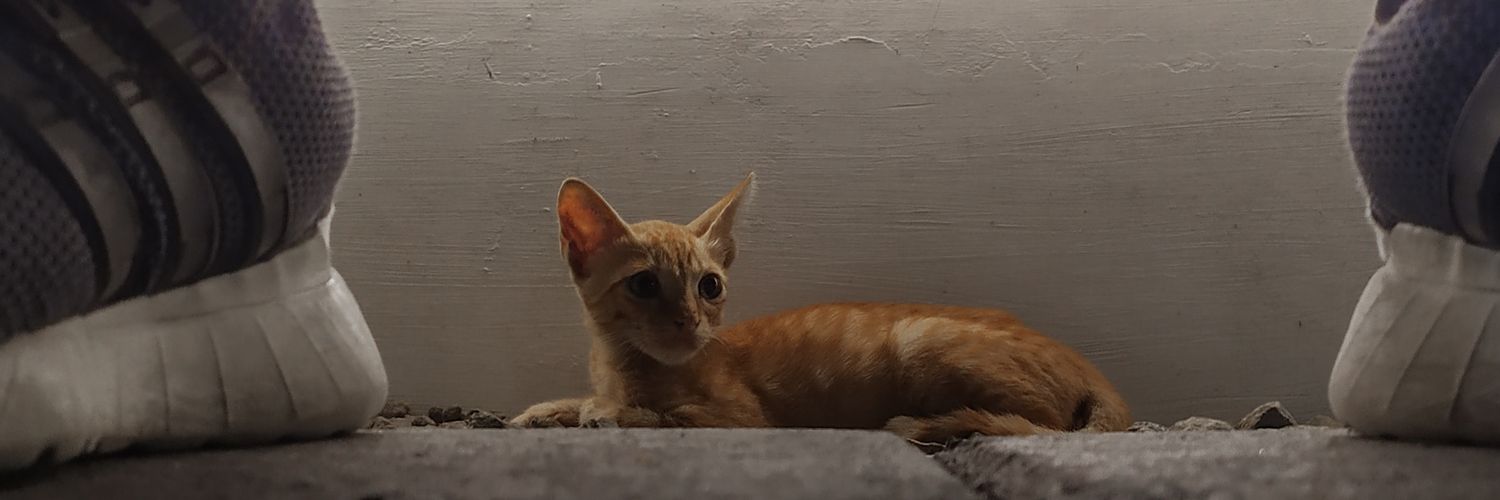 rhrja's profile banner image