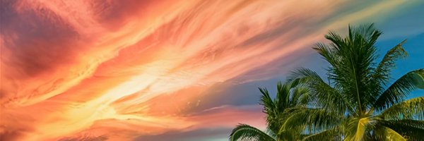 ParodyExchange Profile Banner