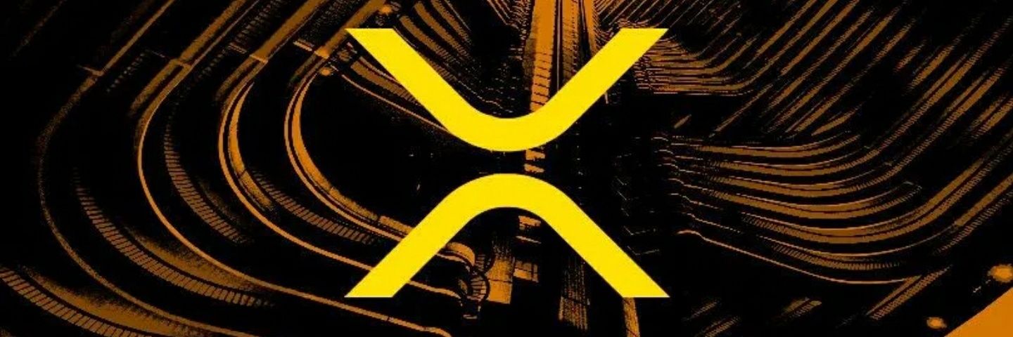 XrPeaStupid's profile banner image