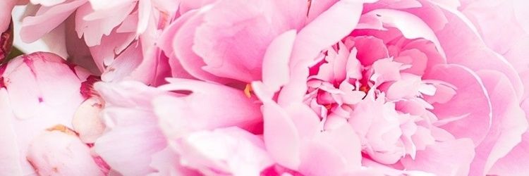 LilKatLucky's profile banner image