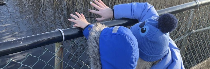 kaitlin_rees's profile banner image