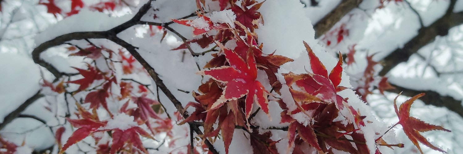 kure_raachi's profile banner image