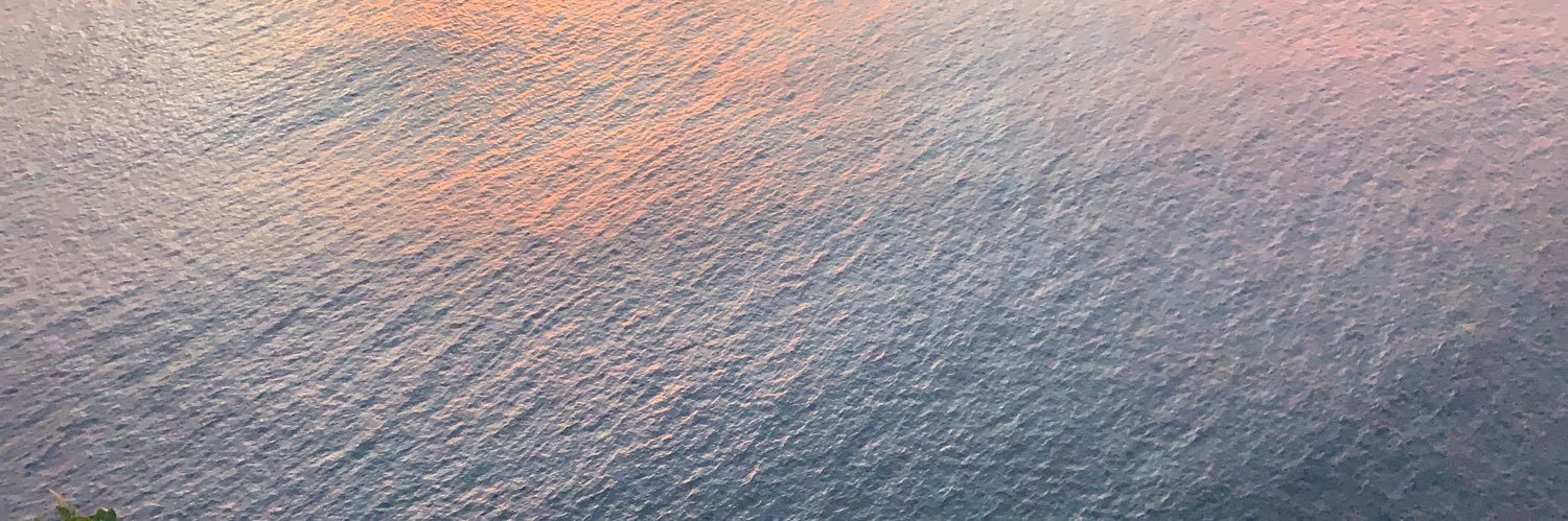 avmarty's profile banner image
