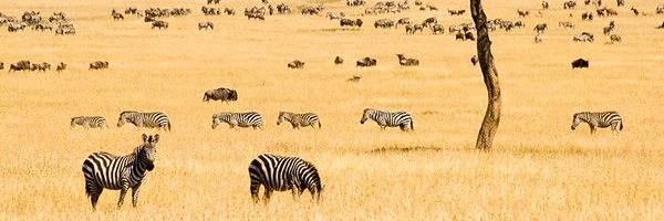 IsaiahGitonga Profile Banner