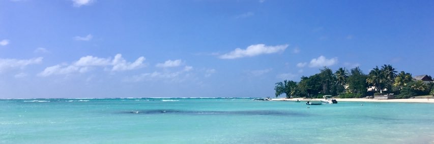 Vicky Puls banner