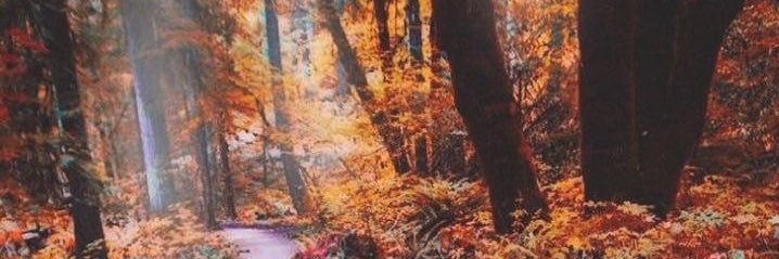 andr3wbarry's profile banner image