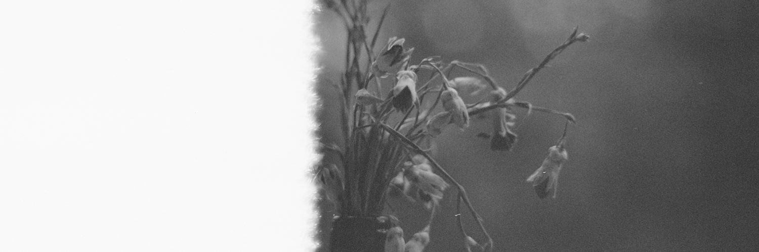 edemen_'s profile banner image
