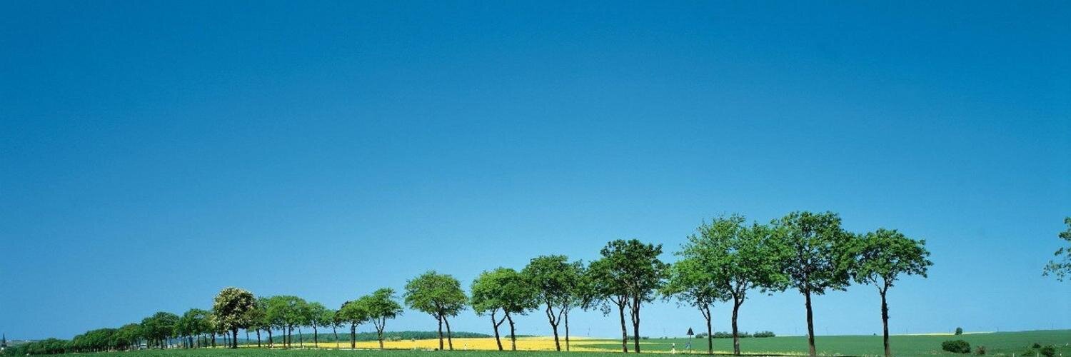 adaronie's profile banner image