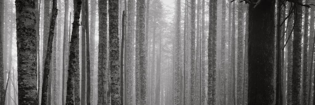 abinalah's profile banner image