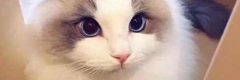 nitobooke's profile banner image