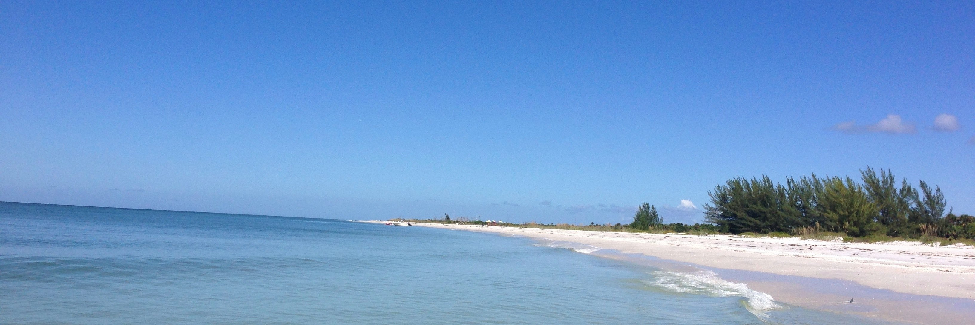 canepalmbeach's profile banner image