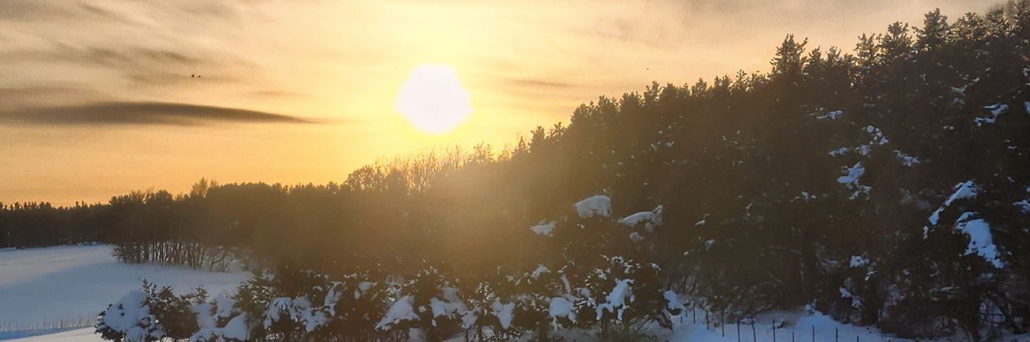 brindyweb's profile banner image