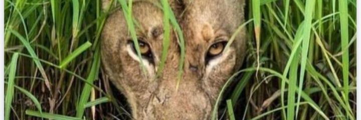 Azeejay93's profile banner image
