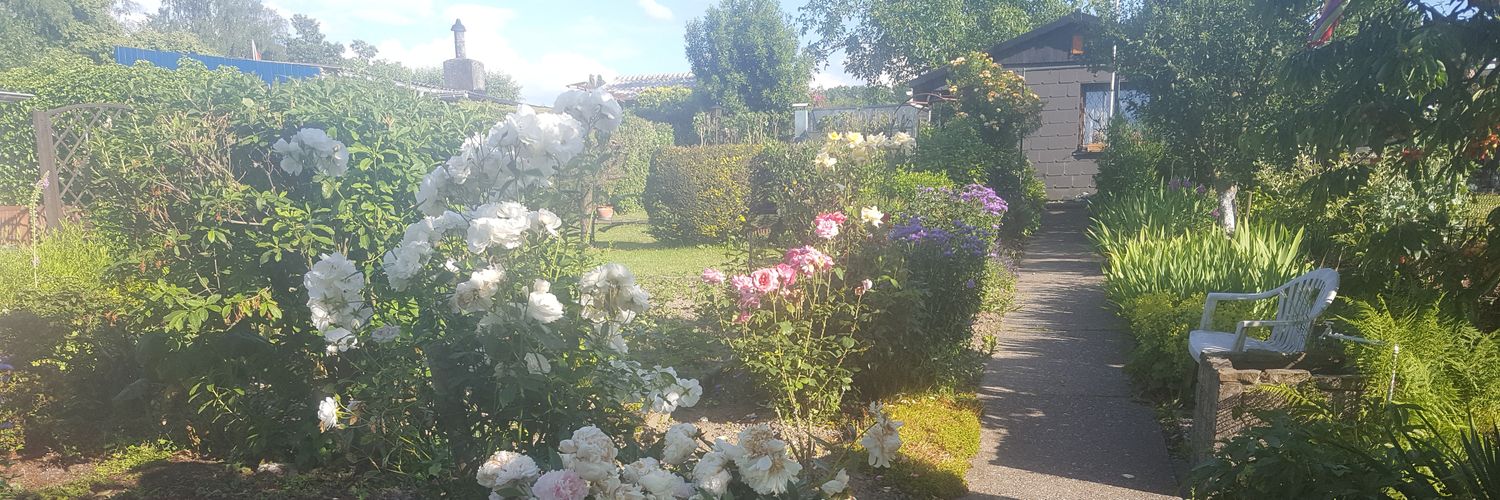 Holger Dreßler banner