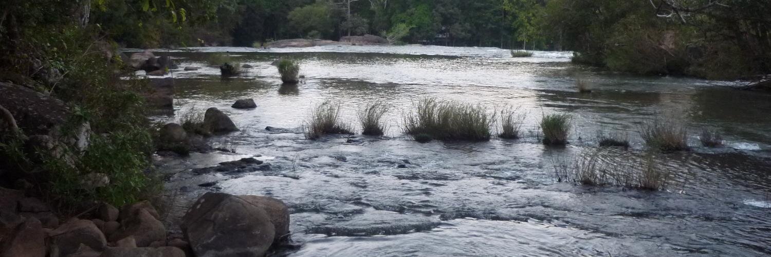 riversnetwork.org banner